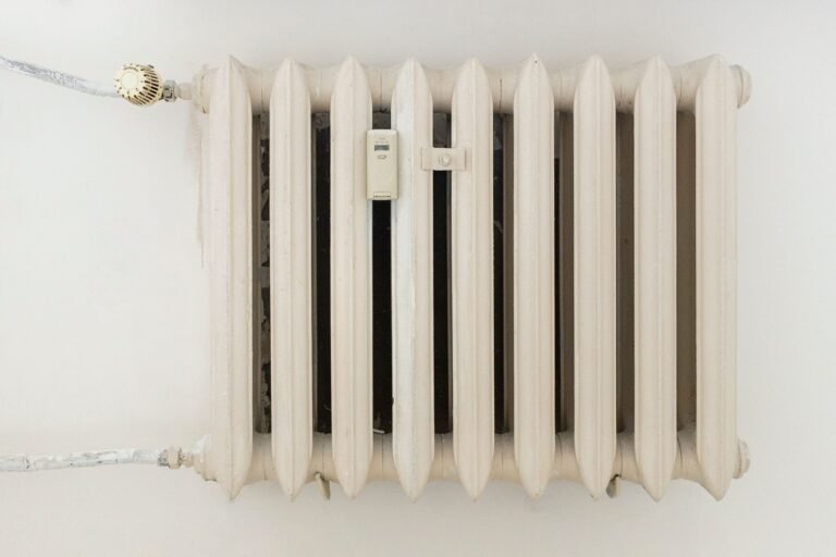 Boiler with no heating or hot water