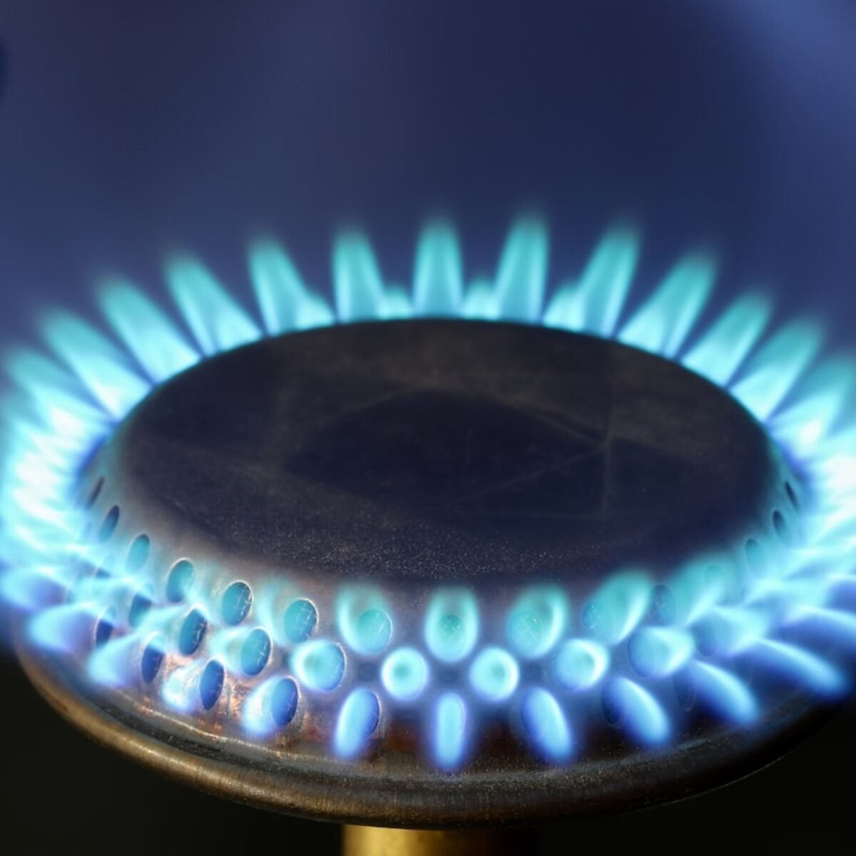 Close-up blue flame on a gas hob burner, square crop for gas cooker installation about section